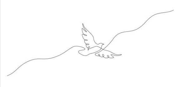 photo d'un oiseau dans un fond blanc